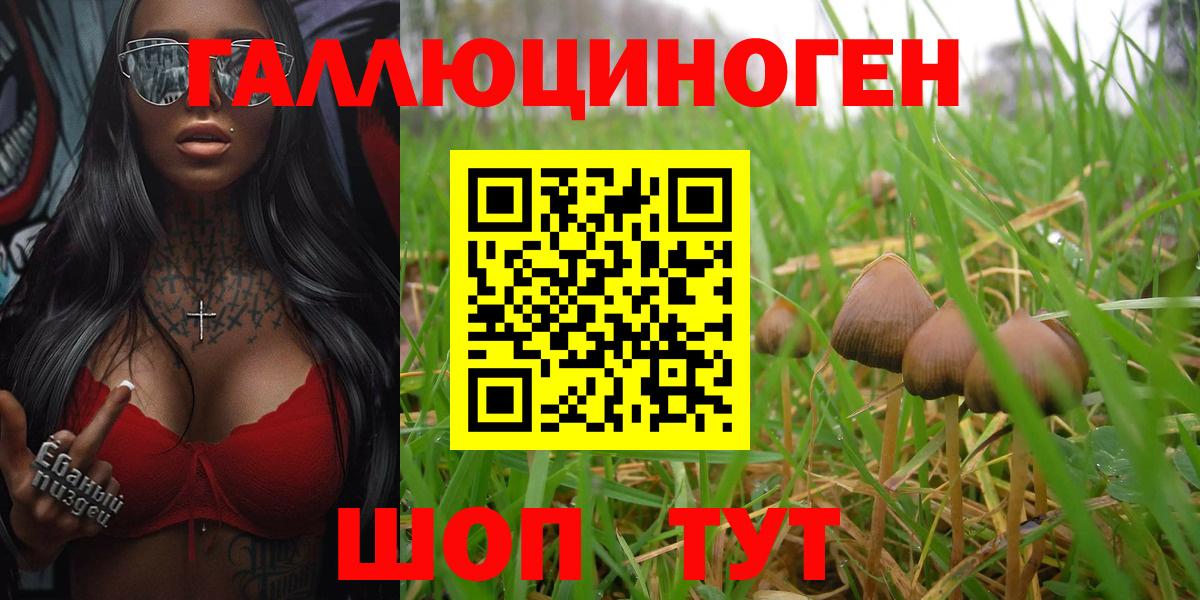 Псилоцибиновые грибы MAGIC MUSHROOMS Печора