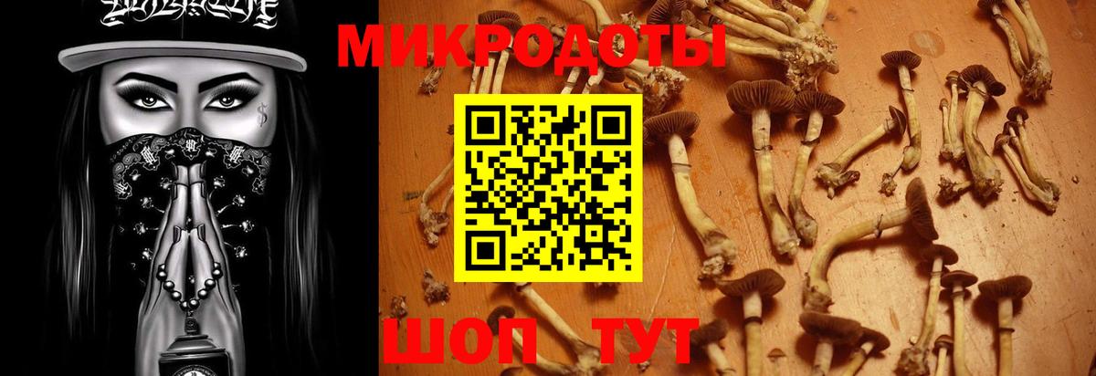 Печора  Псилоцибиновые грибы MAGIC MUSHROOMS  Вход с VPN 